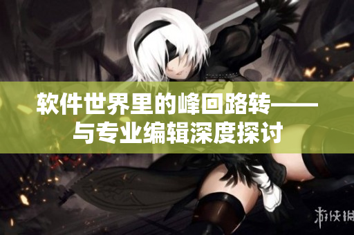 软件世界里的峰回路转——与专业编辑深度探讨