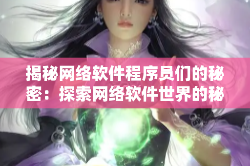 揭秘网络软件程序员们的秘密：探索网络软件世界的秘密操作