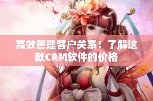 高效管理客户关系！了解这款CRM软件的价格