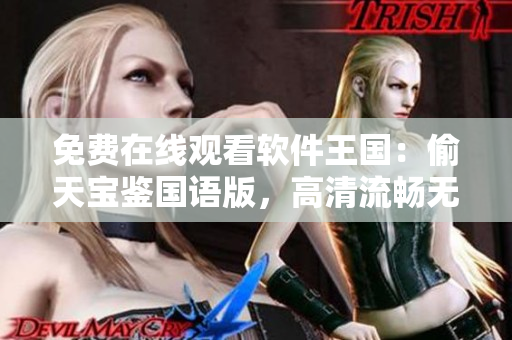 免费在线观看软件王国：偷天宝鉴国语版，高清流畅无广告，立即体验！