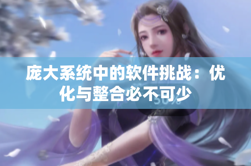 庞大系统中的软件挑战：优化与整合必不可少