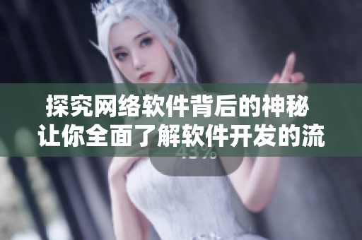 探究网络软件背后的神秘 让你全面了解软件开发的流程和挑战