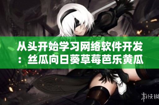 从头开始学习网络软件开发：丝瓜向日葵草莓芭乐黄瓜为你提供指南