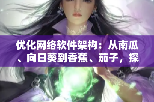 优化网络软件架构：从南瓜、向日葵到香蕉、茄子，探索最佳实践