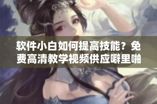 软件小白如何提高技能？免费高清教学视频供应噼里啪啦