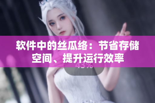 软件中的丝瓜络：节省存储空间、提升运行效率
