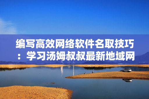 编写高效网络软件名取技巧：学习汤姆叔叔最新地域网技巧