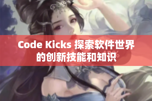 Code Kicks 探索软件世界的创新技能和知识
