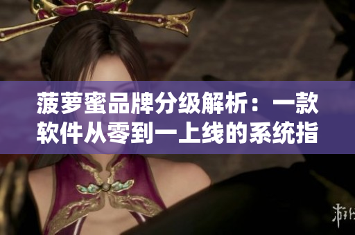 菠萝蜜品牌分级解析：一款软件从零到一上线的系统指南