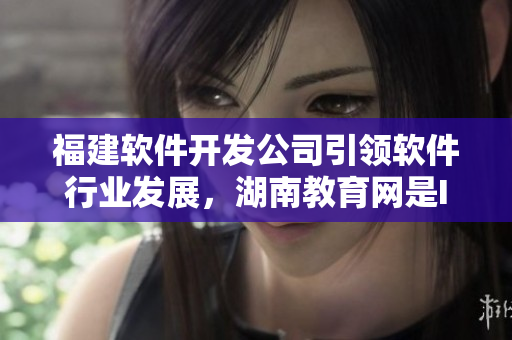 福建软件开发公司引领软件行业发展，湖南教育网是IT人才培养的重要导航