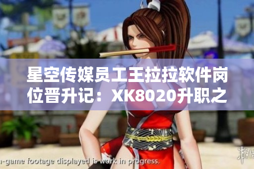 星空传媒员工王拉拉软件岗位晋升记：XK8020升职之路