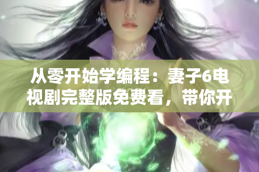 从零开始学编程：妻子6电视剧完整版免费看，带你开启软件开发之路！