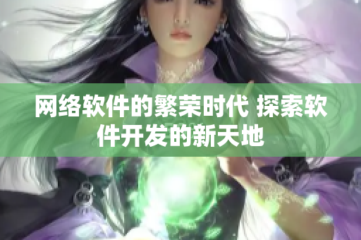 网络软件的繁荣时代 探索软件开发的新天地