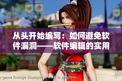 从头开始编写：如何避免软件漏洞——软件编辑的实用指南