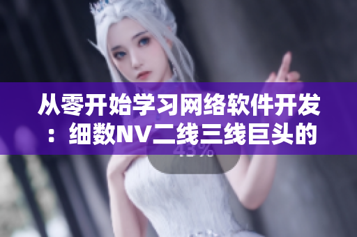 从零开始学习网络软件开发：细数NV二线三线巨头的开发路线