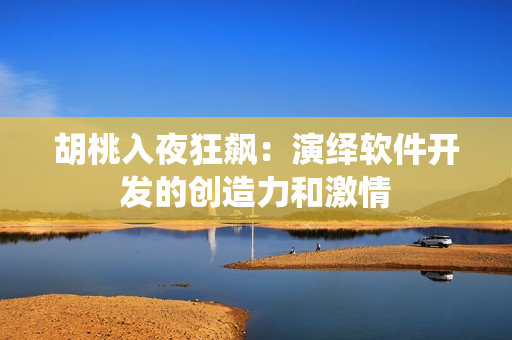 胡桃入夜狂飙：演绎软件开发的创造力和激情