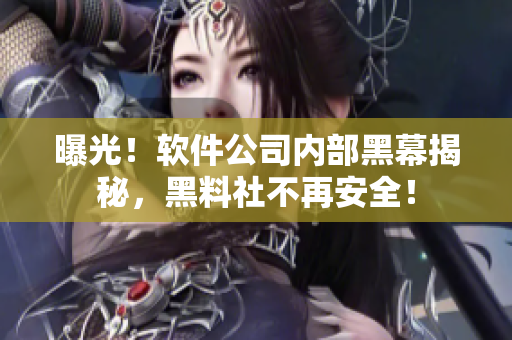 曝光！软件公司内部黑幕揭秘，黑料社不再安全！
