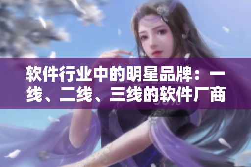 软件行业中的明星品牌：一线、二线、三线的软件厂商排名