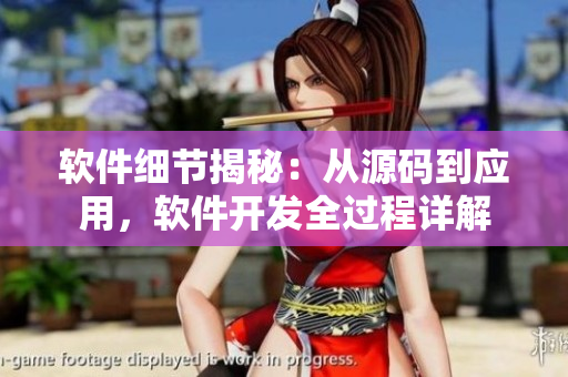 软件细节揭秘：从源码到应用，软件开发全过程详解