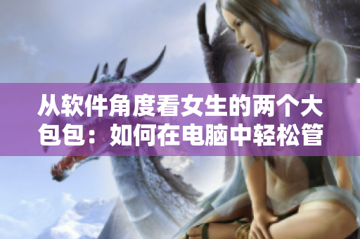从软件角度看女生的两个大包包：如何在电脑中轻松管理和整理？