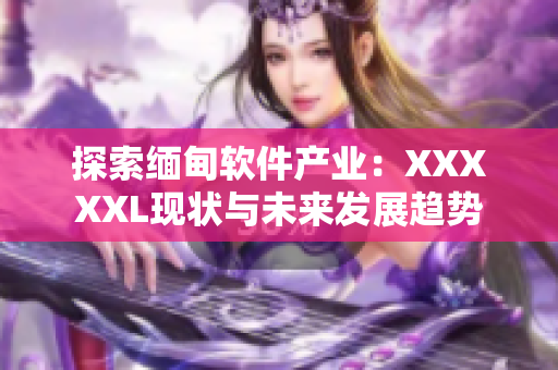 探索缅甸软件产业：XXXXXL现状与未来发展趋势