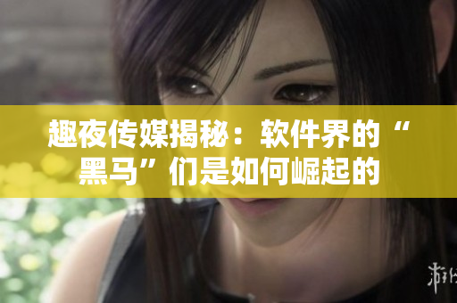 趣夜传媒揭秘：软件界的“黑马”们是如何崛起的
