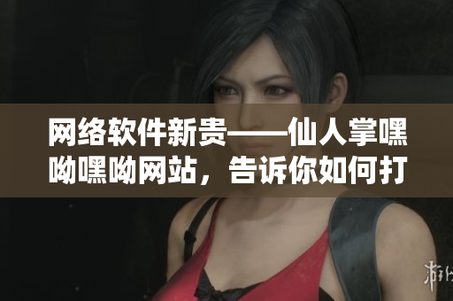 网络软件新贵——仙人掌嘿呦嘿呦网站，告诉你如何打造高效稳定的网络软件