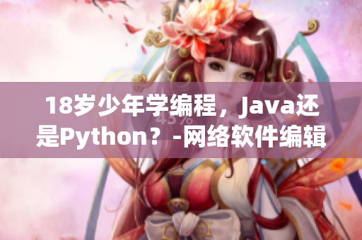 18岁少年学编程，Java还是Python？-网络软件编辑探讨