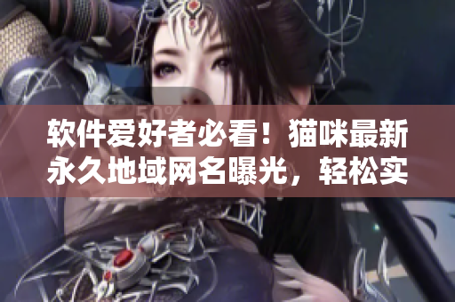 软件爱好者必看！猫咪最新永久地域网名曝光，轻松实现网络软件互联！