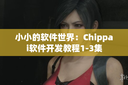 小小的软件世界：Chippai软件开发教程1-3集