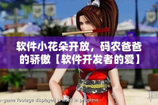 软件小花朵开放，码农爸爸的骄傲【软件开发者的爱】