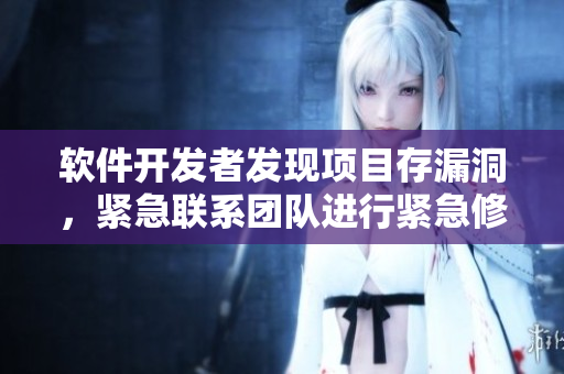 软件开发者发现项目存漏洞，紧急联系团队进行紧急修复