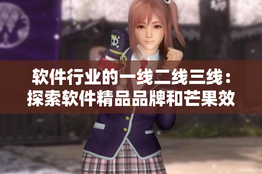 软件行业的一线二线三线：探索软件精品品牌和芒果效应