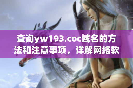 查询yw193.coc域名的方法和注意事项，详解网络软件域名查询