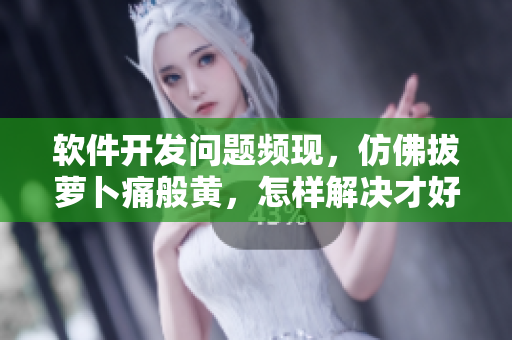 软件开发问题频现，仿佛拔萝卜痛般黄，怎样解决才好？