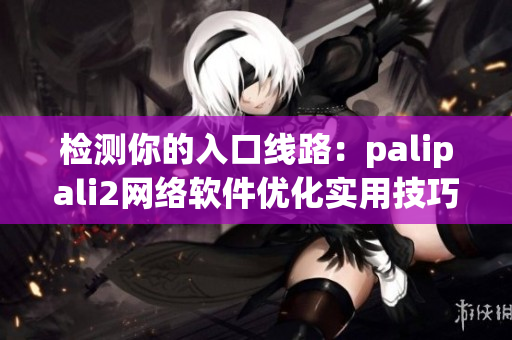检测你的入口线路：palipali2网络软件优化实用技巧