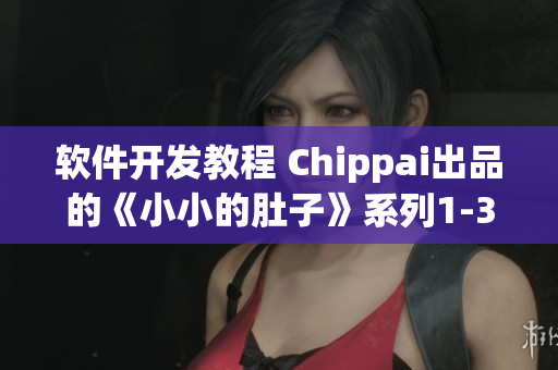 软件开发教程 Chippai出品的《小小的肚子》系列1-3集详解