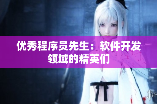 优秀程序员先生：软件开发领域的精英们