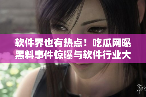 软件界也有热点！吃瓜网曝黑料事件惊曝与软件行业大佬有关