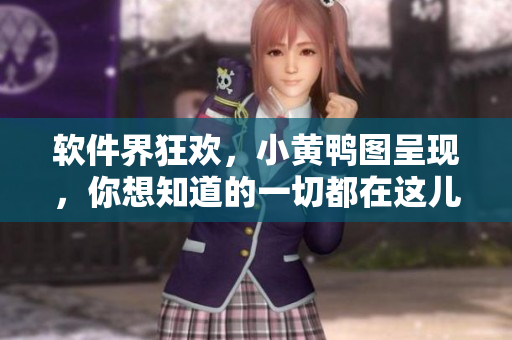 软件界狂欢，小黄鸭图呈现，你想知道的一切都在这儿