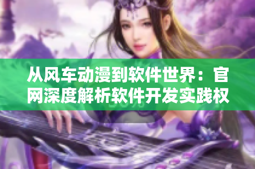 从风车动漫到软件世界：官网深度解析软件开发实践权威经验
