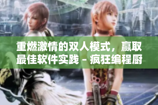 重燃激情的双人模式，赢取最佳软件实践 – 疯狂编程厨房