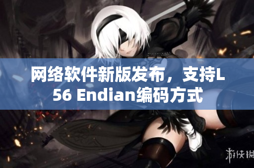 网络软件新版发布，支持L56 Endian编码方式