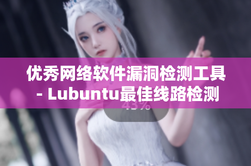 优秀网络软件漏洞检测工具 - Lubuntu最佳线路检测