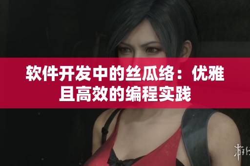 软件开发中的丝瓜络：优雅且高效的编程实践