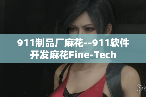 911制品厂麻花--911软件开发麻花Fine-Tech