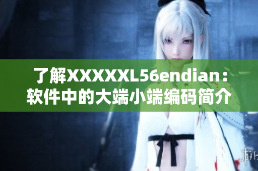 了解XXXXXL56endian：软件中的大端小端编码简介