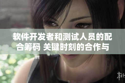 软件开发者和测试人员的配合筹码 关键时刻的合作与挑战