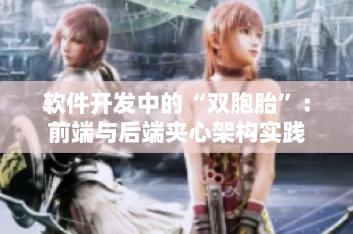 软件开发中的“双胞胎”：前端与后端夹心架构实践