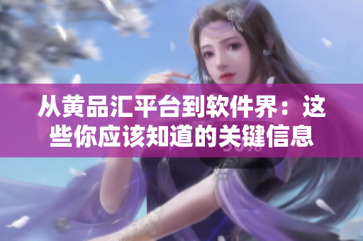 从黄品汇平台到软件界：这些你应该知道的关键信息